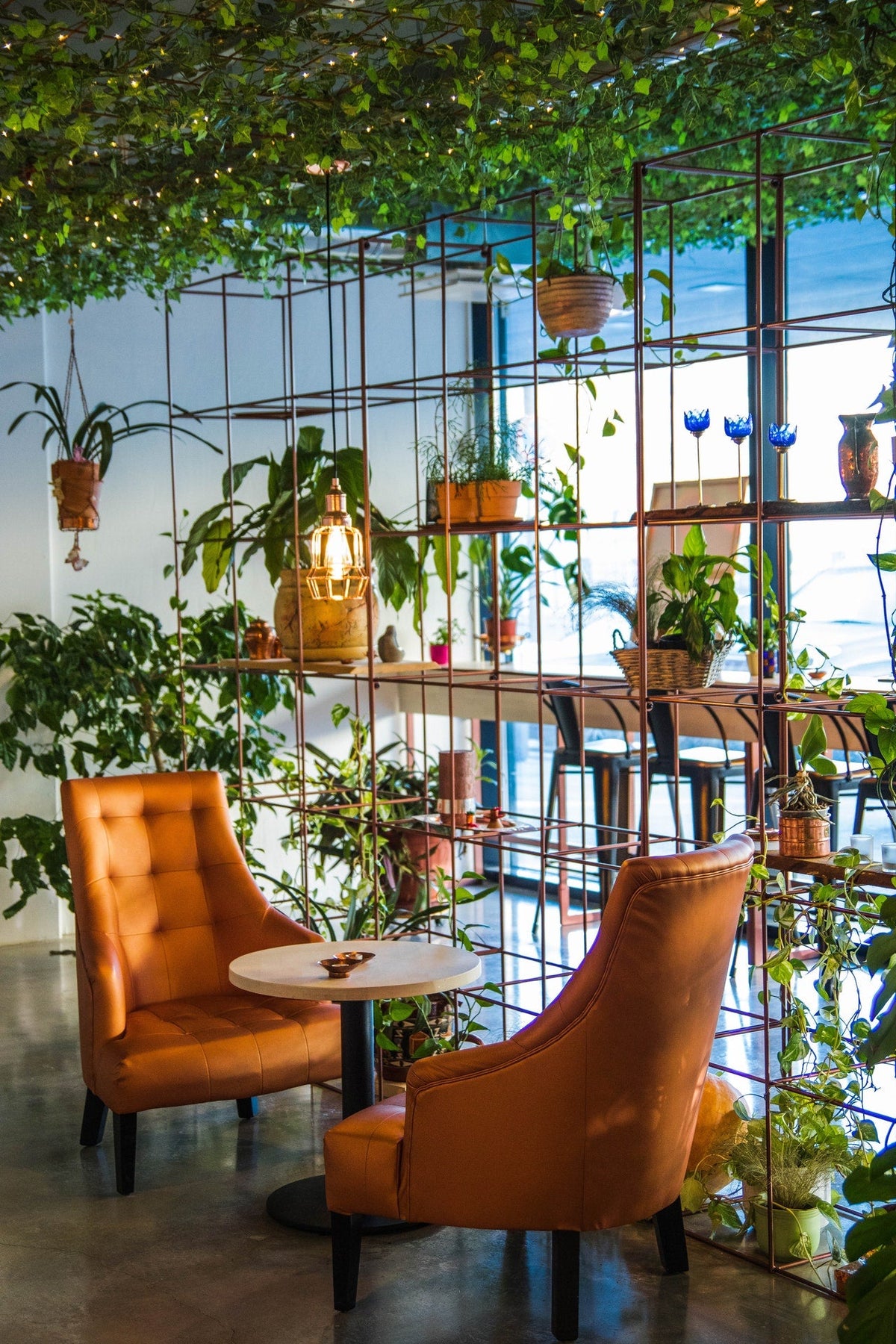 Garden Accessories