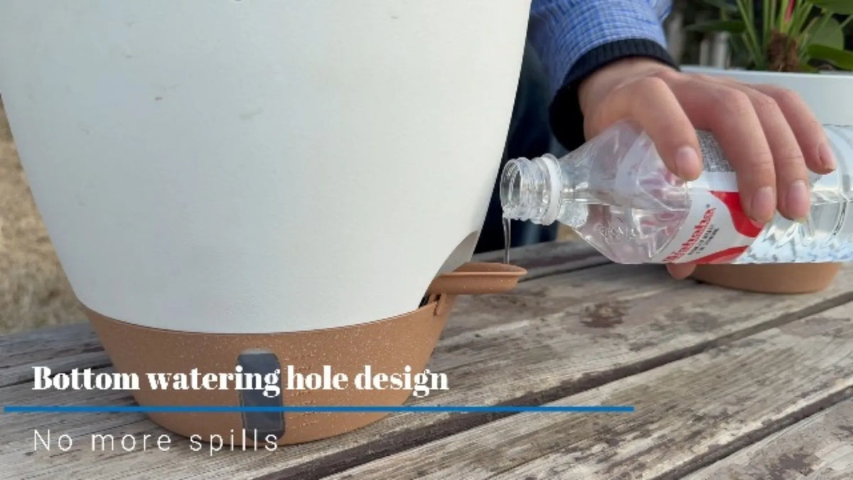 Self Watering Porcelain Plant Pots with Water Level Indicator