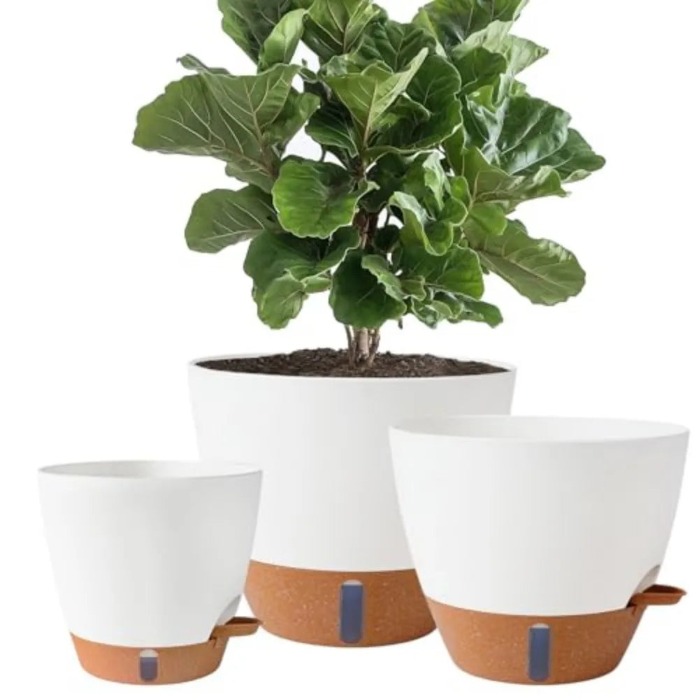 Self Watering Porcelain Plant Pots with Water Level Indicator