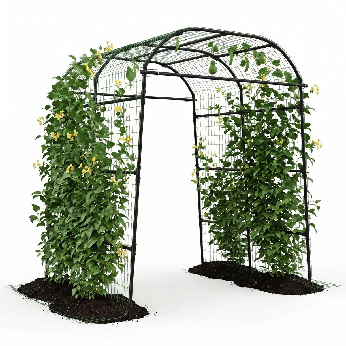 HiMISS Metal Garden Arch Trellis Adjustable Plant Support System