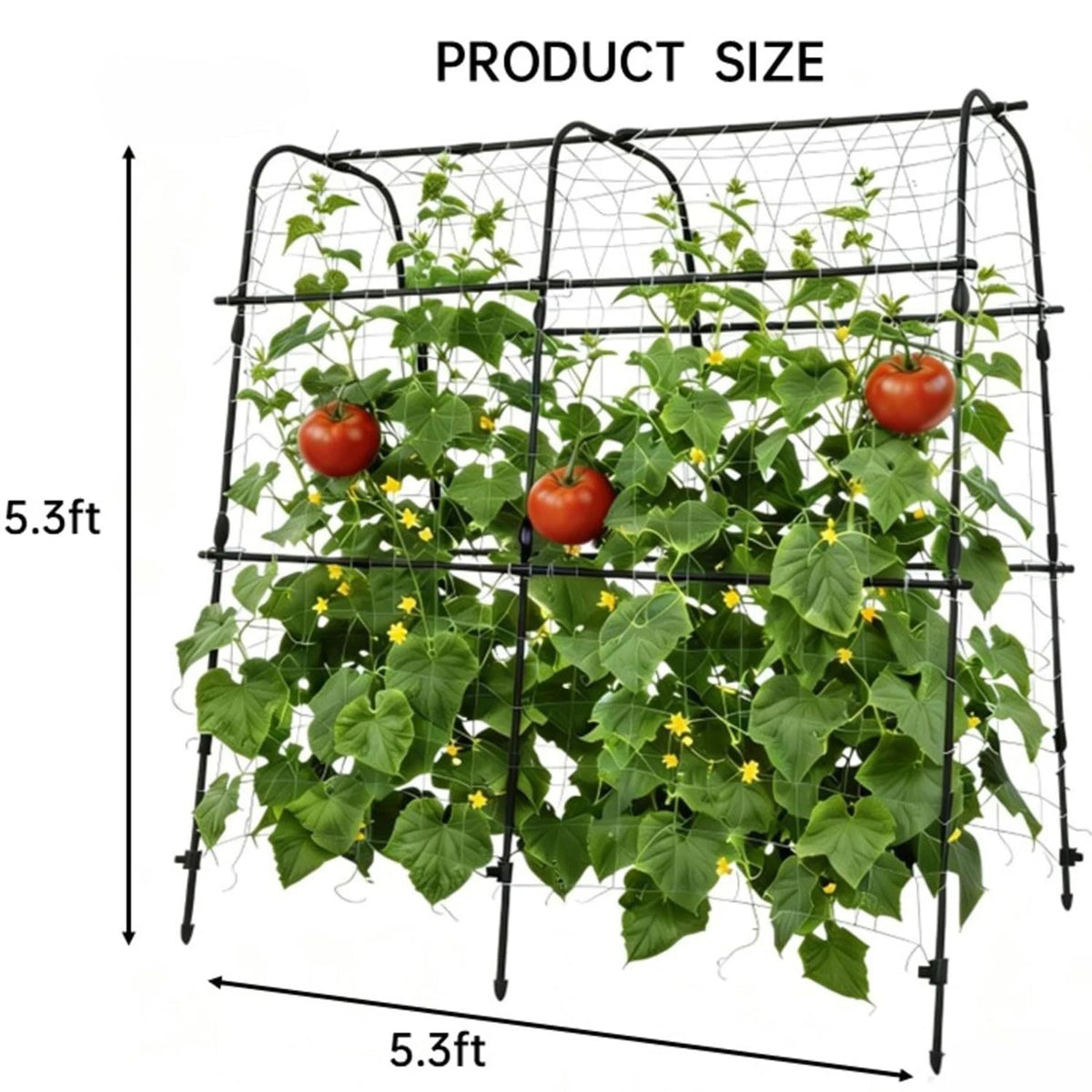 HiMISS U Shape Metal Garden Arch Trellis For Climbing Plants
