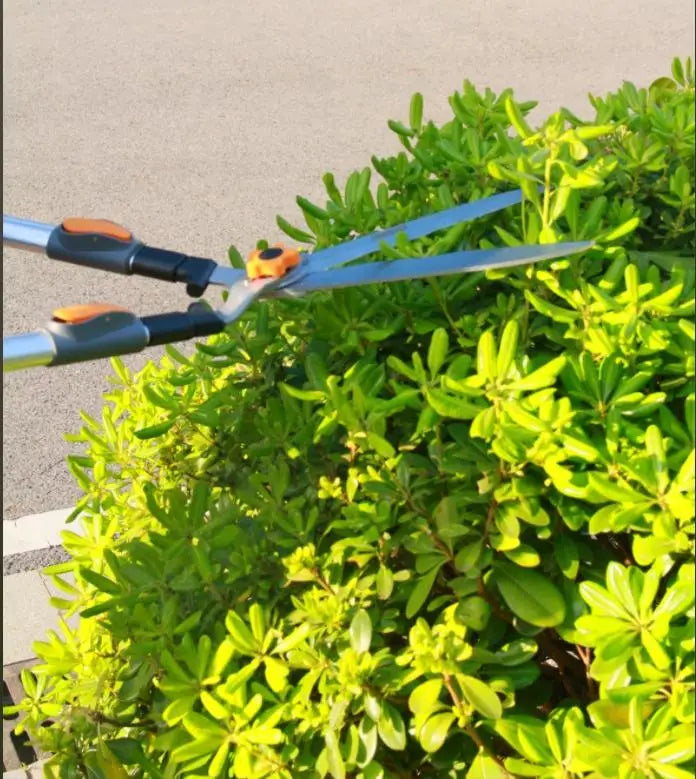 Heavy Duty High Carbon Steel Extendable Shrub Pruning Shears