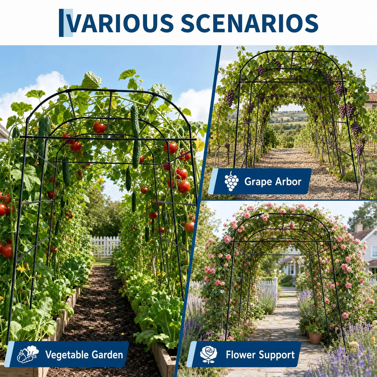 HiMISS Metal Garden Arch Trellis Adjustable Plant Support System