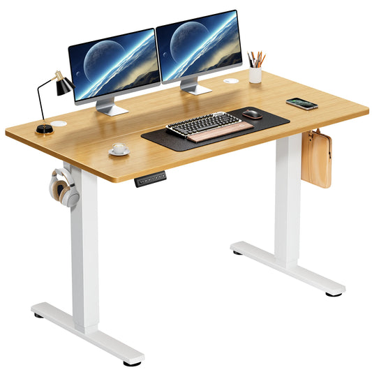 JHK Electric Standing Desk Height Adjustable Ergonomic Office Workstation
