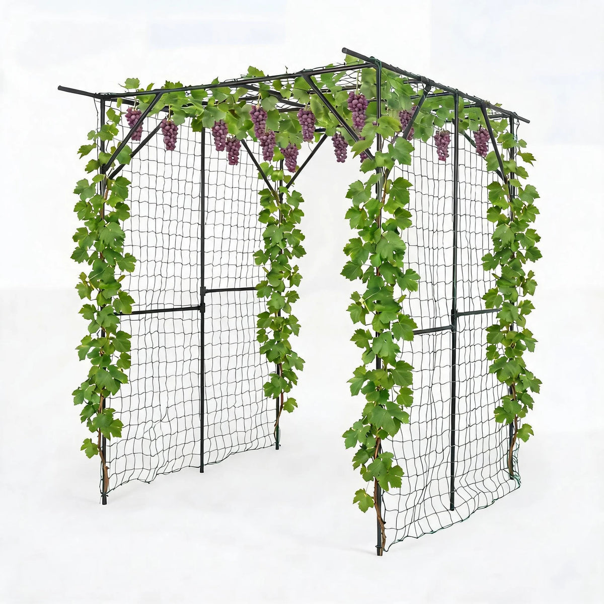 HiMiss Metal Garden Arch Trellis With Netting For Plants