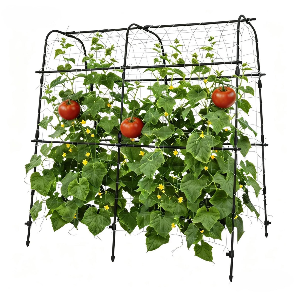 HiMISS U Shape Metal Garden Arch Trellis For Climbing Plants