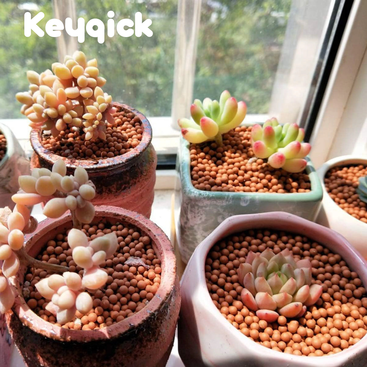 Mixed Natural Stone And Expanded Clay For Plant Drainage