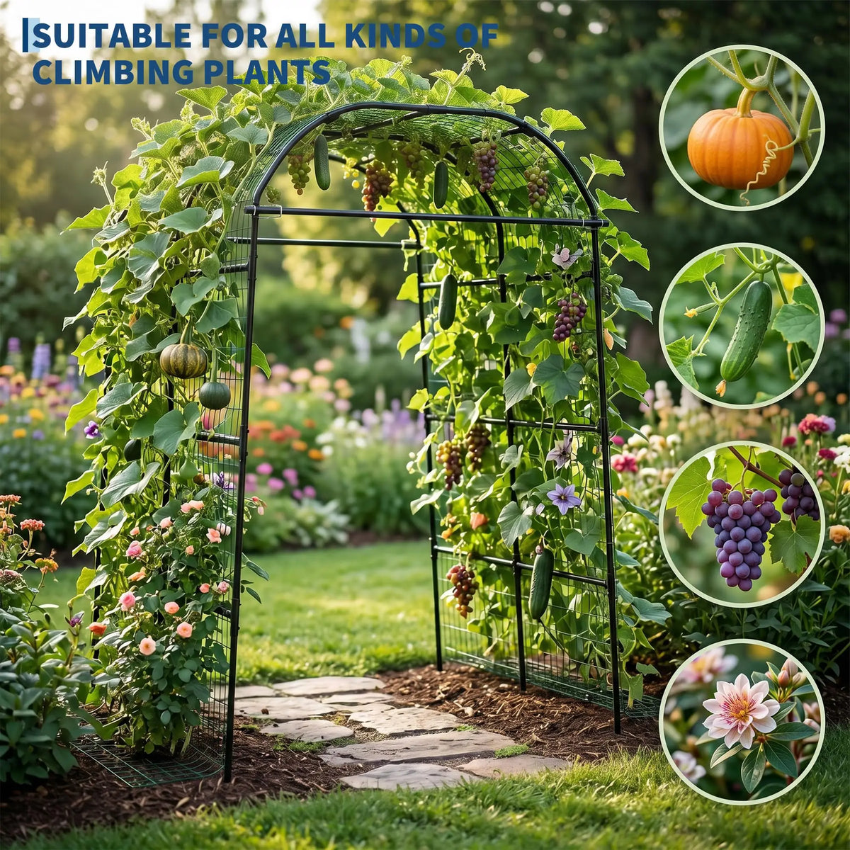 HiMISS Metal Garden Arch Trellis Adjustable Plant Support System
