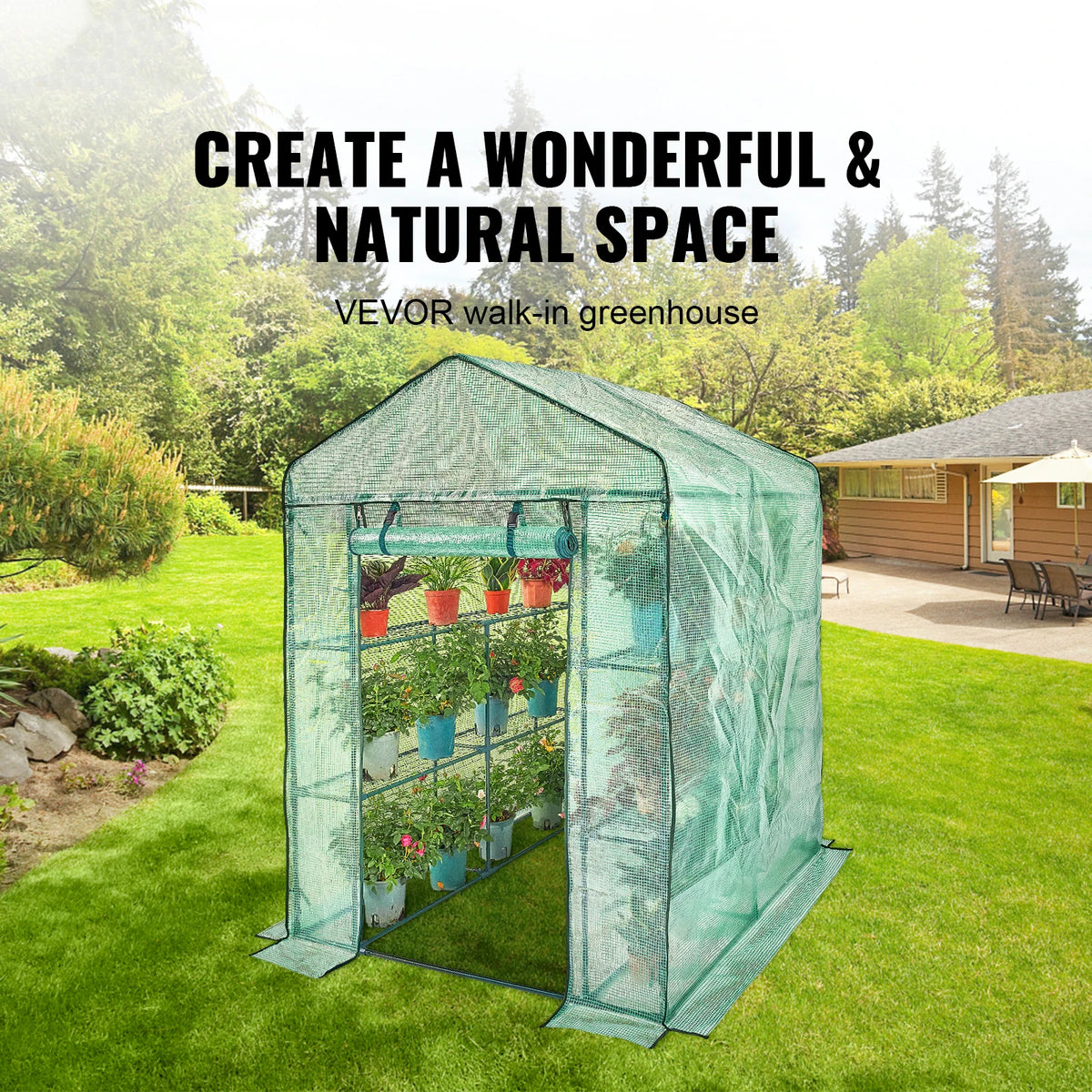 Walk In Greenhouse With Steel Frame And Polyethylene Cover