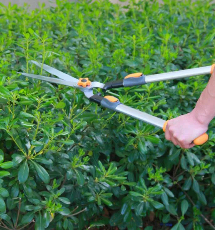 Heavy Duty High Carbon Steel Extendable Shrub Pruning Shears